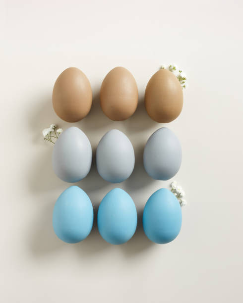 istock Pastel Easter Eggs as minimal pattern with white blooming Flowers on beige color, top view colorful chicken egg. Easter celebration concept. Festive food, still life holiday, aesthetic flat lay 2178815837