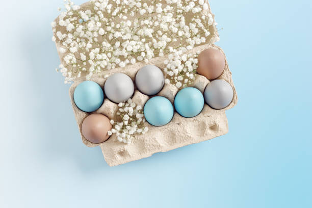 istock Easter Egg Assortment in Carton with White Baby's Breath on Light Blue Background. Pastel colored dyed eggs in package, spring holiday photo, tender soft hues, celebration food and white flowers 2178815841