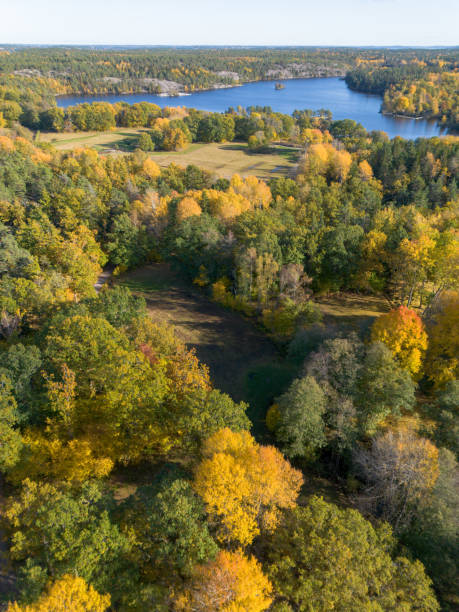 istock Autumn forest and lake landscape with yellow leaf trees 2178816812