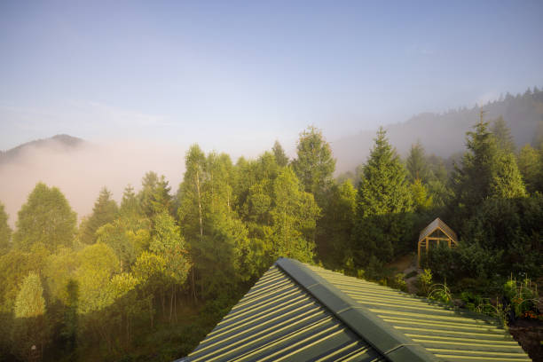 A serene view from the green rooftop of a modern home, looking out over a lush forested valley with a greenhouse nestled among the trees, bathed in the soft morning light