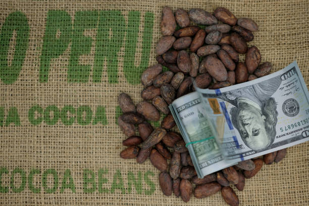 Close-up of cocoa beans in a wooden box indoors