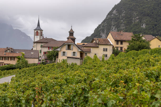 istock Charming Village Surrounded by Vineyards and Mountains 2178822018