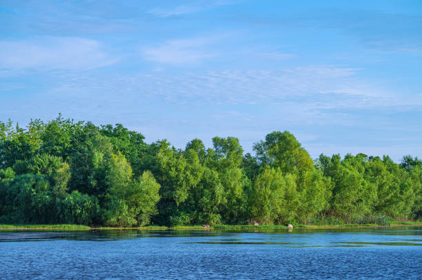 Beautiful scenery with river bank and blue sky