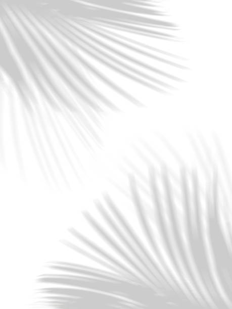 istock Motion blur background. Soft shadow of tropical natural leaves 2178822679