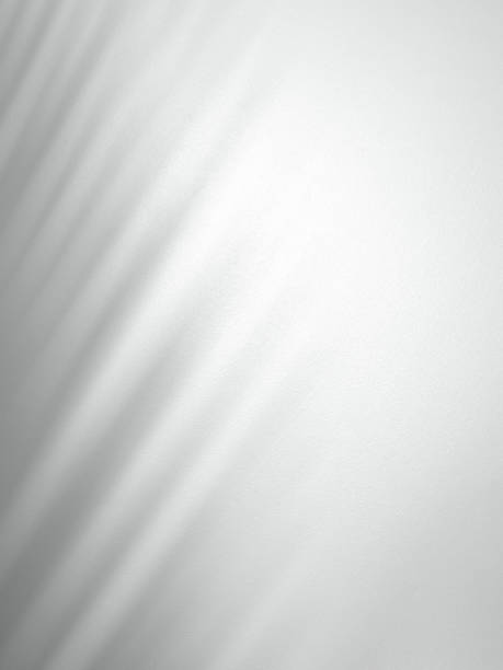 istock Soft shadow of tropical natural leaves. part palm leaf isolated 2178822687