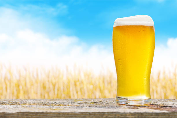 istock A glass of cold beer sits on a table with a vast rye field 2178822852
