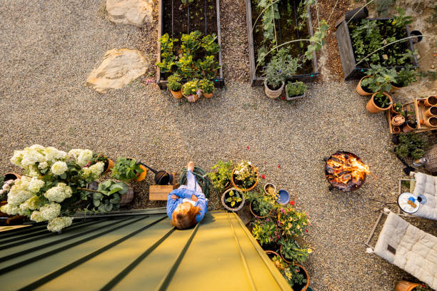Peaceful Garden Moments