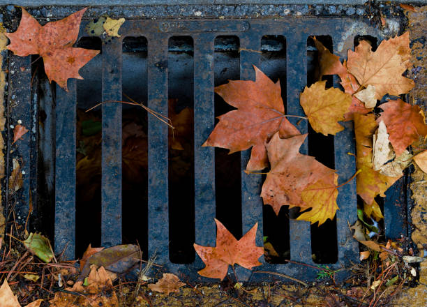 istock A sewer grate is covered in leaves, including some that are brown 2178824568