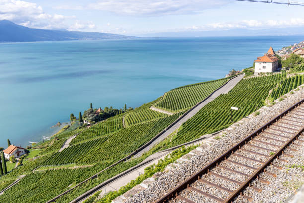 A serene landscape featuring a vineyard with a railway passing through, overlooking a beautiful blue lake and mountains in the background.