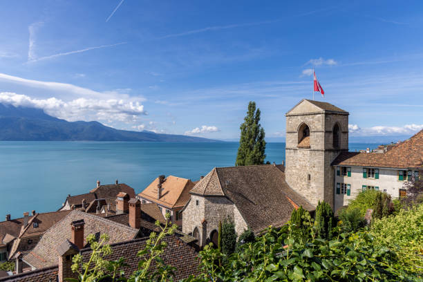 Charming Village by a Lake with Rooftops and Vineyard