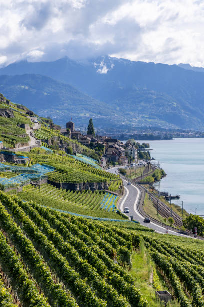 istock Terraced Vineyards Along a Lakeside Road with Mountain View 2178825659