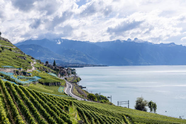 A scenic landscape featuring terraced vineyards along a lakeside road, framed by a stunning lake and mountain backdrop under a dramatic, partly cloudy sky.