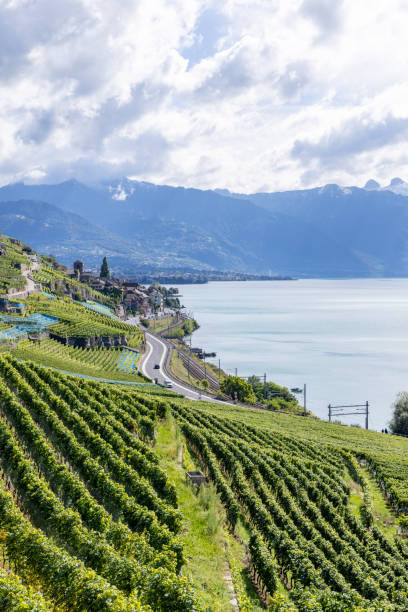 A scenic landscape featuring terraced vineyards along a lakeside road, framed by a stunning lake and mountain backdrop under a dramatic, partly cloudy sky.