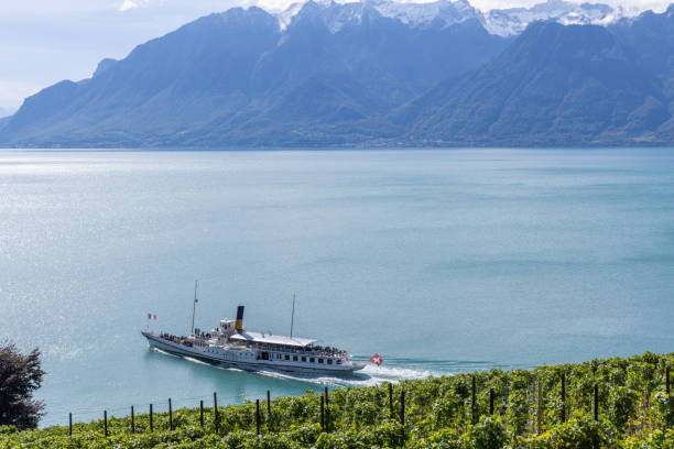 A serene vineyard overlooking a picturesque lake with a historic steamboat sailing by, framed by majestic mountains in the background under a clear sky, offering a peaceful landscape.