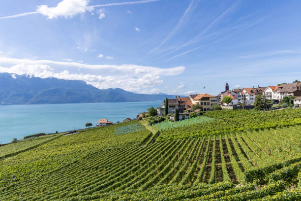 istock Vineyard and Village Overlooking a Lake with Mountain Views 2178825856