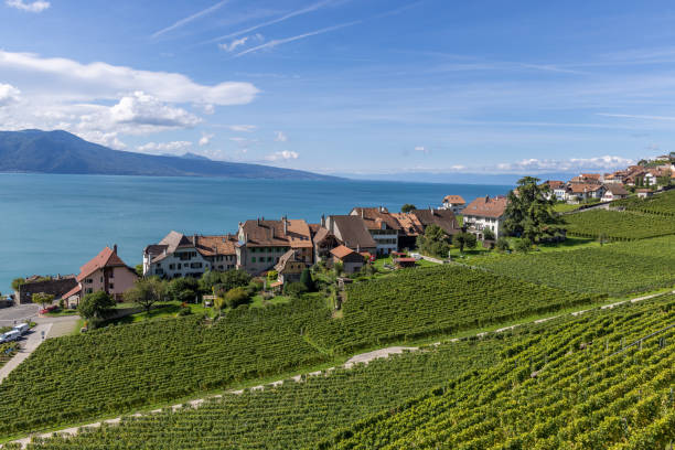 istock Vineyard and Village Overlooking a Lake with Mountain Views 2178825857