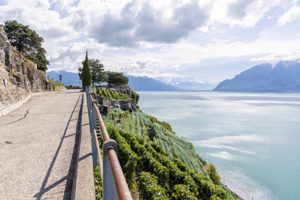 A serene pathway running alongside terraced vineyards, offering breathtaking views of a calm lake and distant mountains under a partly cloudy sky, ideal for a peaceful walk.