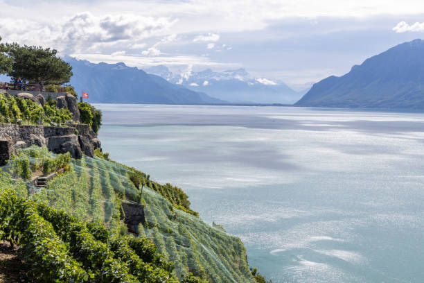 istock Terraced Vineyards Overlooking a Lake and Snow-Capped Mountains 2178825995