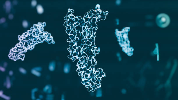 fotografii de stoc, fotografii și imagini scutite de redevențe cu molecula peptidei 1 asemănătoare glucagonului (glp1, 7-36) receptorul peptidei-1 asemănător glucagonului are un efect puternic asupra gestionării diabetului zaharat de tip 2 - hormon