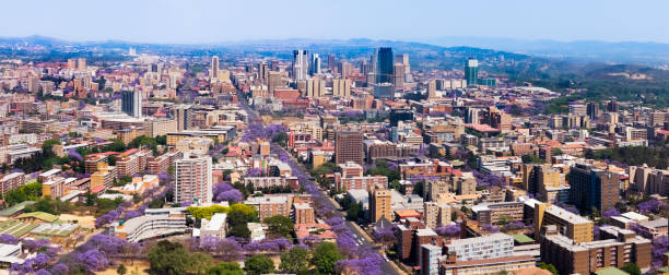 istock Pretoria / Tshwane Cityscape with Jacarandas 2178833921