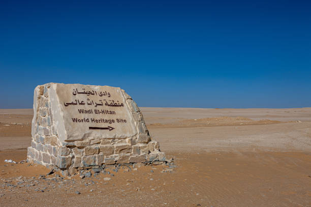 Whale Valley - Wadi el Hitan