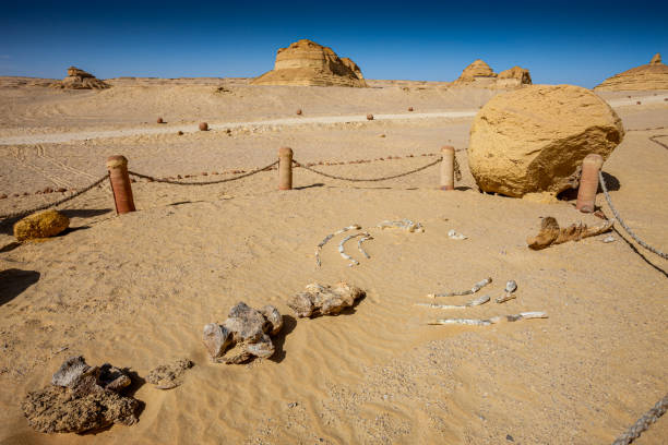 istock Whale Valley - Wadi el Hitan 2178834318