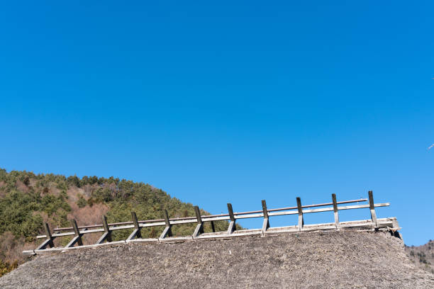 Water sprinkler installed on a thatched roof