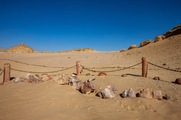 Whale Valley - Wadi el Hitan