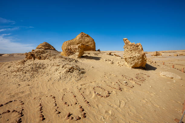 istock Whale Valley - Wadi el Hitan 2178835778
