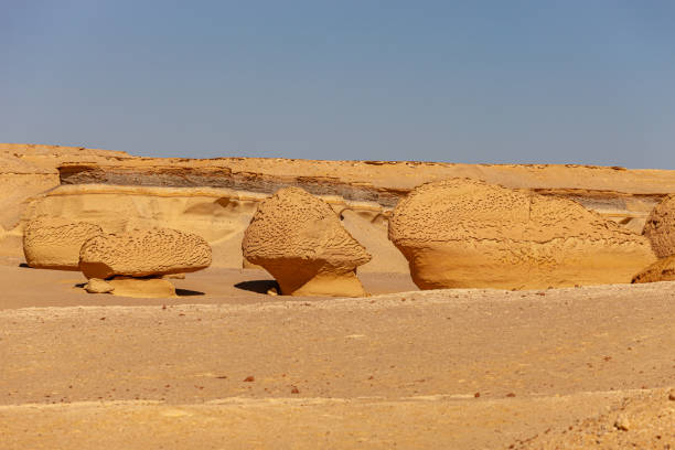 istock Whale Valley - Wadi el Hitan 2178835854