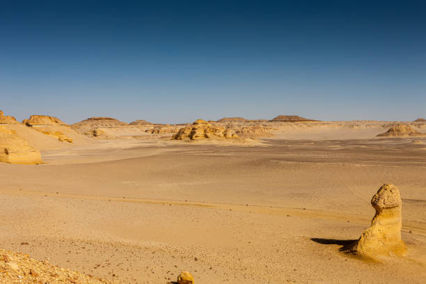 istock Whale Valley - Wadi el Hitan 2178835932