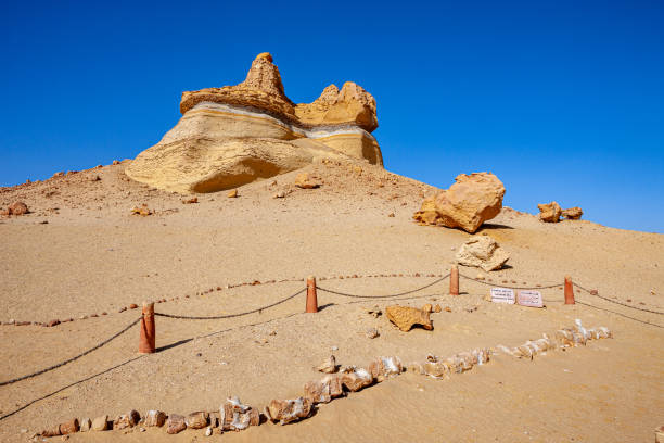 istock Whale Valley - Wadi el Hitan 2178836143