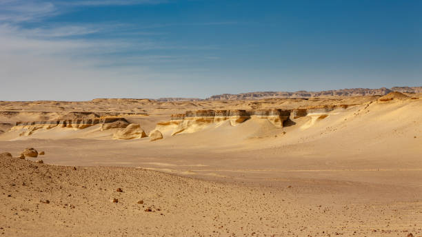 istock Whale Valley - Wadi el Hitan 2178837406