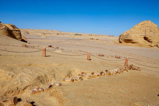 istock Whale Valley - Wadi el Hitan 2178837441