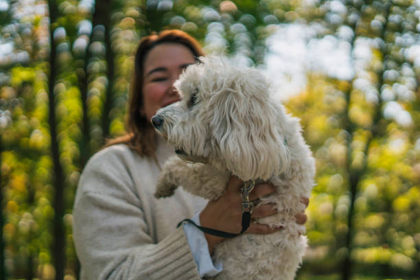 istock Young woman with dog, nature background 2178838395