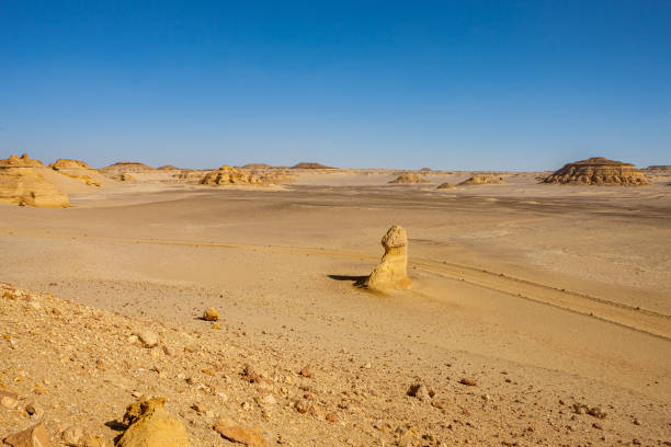 istock Whale Valley - Wadi el Hitan 2178839481