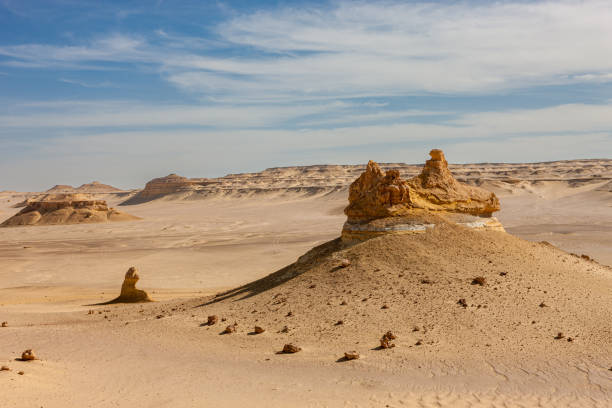 Whale Valley - Wadi el Hitan