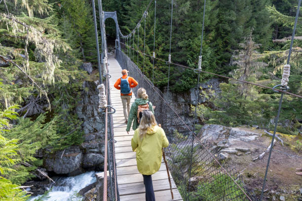 Guide and guests hike across suspension bridge over river in temperate rainforest, Whistler, B.C.