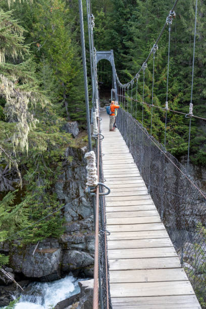 istock Guide and guests hike across suspension bridge over river 2178840227