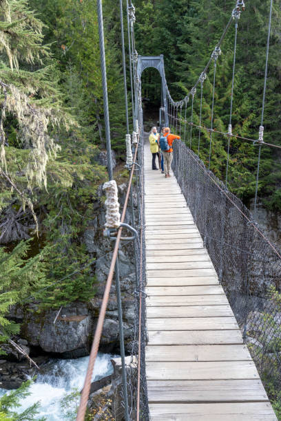 istock Guide and guests hike across suspension bridge over river 2178840476