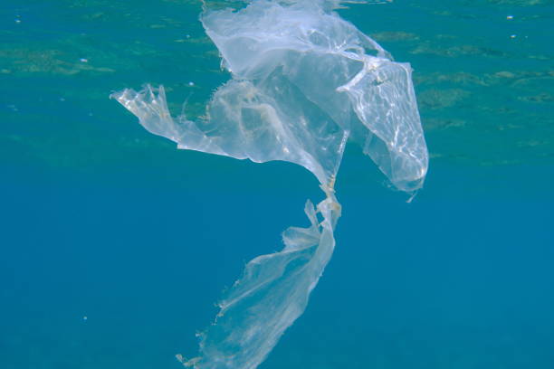 istock Plastic garbage underwater, Aegean Sea, Greece. Sea pollution. 2178842215