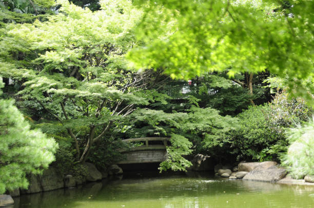 istock Japanese Garden 2178842741
