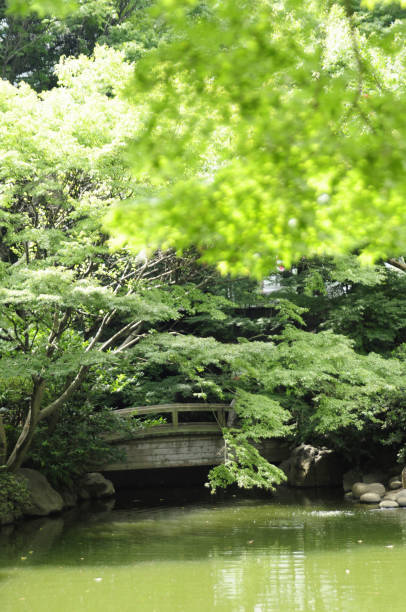 istock Japanese Garden 2178842800