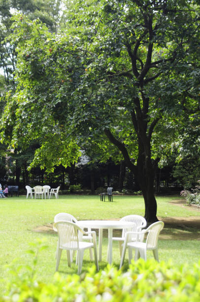 istock White table and chairs in the garden 2178843015
