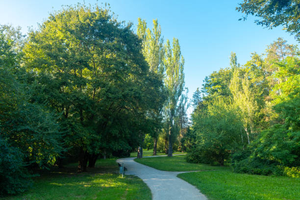 istock A winding path through a lush green park on a sunny day 2178843121