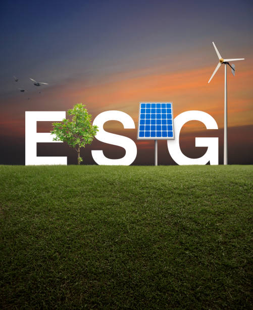 istock Environmental Social Corporate Governance concept 2178843909