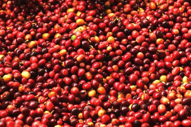 istock close up of fresh coffee beans 2178847995