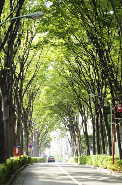istock Hiroo Garden Hills avenue 2178848179