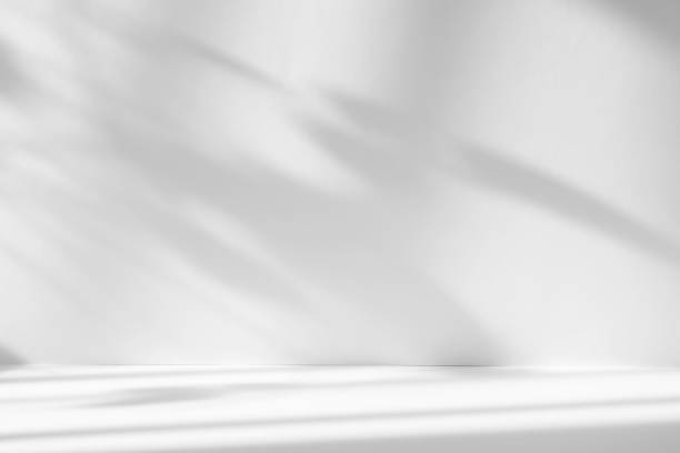 istock Abstract white studio background with shadows of window. Empty 3d room. Display product with blurred backdrop. 2178854081