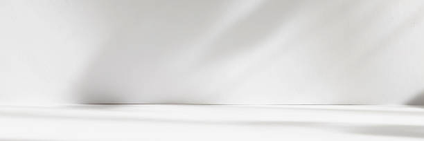 Abstract white studio background with shadows of window. Empty 3d room. Display product with blurred backdrop. Banner